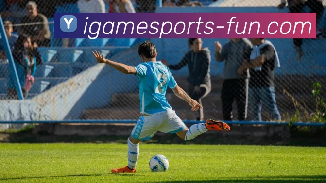 爱游戏官方网站平台生态图